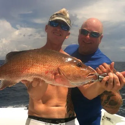 thumbnail for publication: Artificial Reefs in Florida 101: Effects on Fishers (and Divers)—Part 3 of an Artificial Reef Series